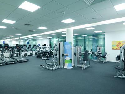Picture 8